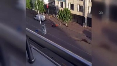 temizlik gorevlisi - Temizlik görevlisinin yol kenarındaki kargayı elleriyle beslediği anlar kamerada - BOLU Videosu