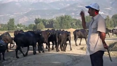  Afrika sıcaklarında belgeselleri aratmayan görüntüler