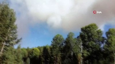  Ankara'da orman yangını