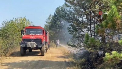 karaagac koyu -  Kastamonu'daki yangın rüzgarın etkisiyle yeniden gücünü artırdı Videosu
