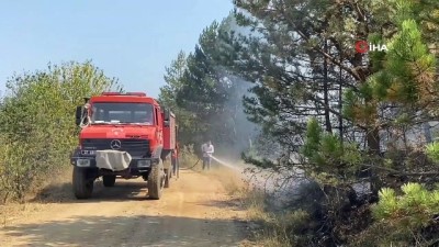  Kastamonu'daki yangın rüzgarın etkisiyle yeniden gücünü artırdı