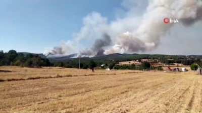  Uşak’ta orman yangını