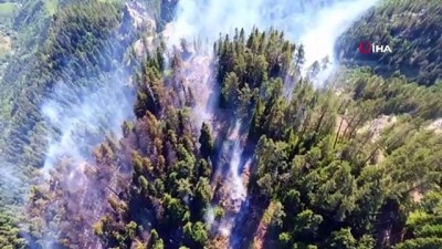 jandarma -  Artvin’deki orman yangını 3 gündür devam ediyor Videosu