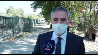 el temizligi -  Başkent’te barınaklarda iyileştirme çalışmaları devam ediyor Videosu