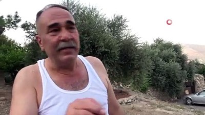  Maaşının üçte biri ile sokak kedilerini besliyor