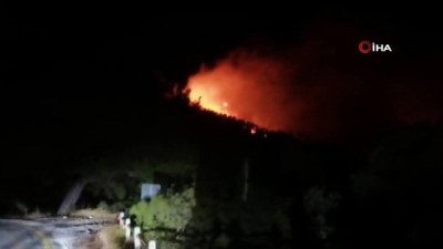 zeytinli -  Muğla’da korkutan orman yangını Videosu