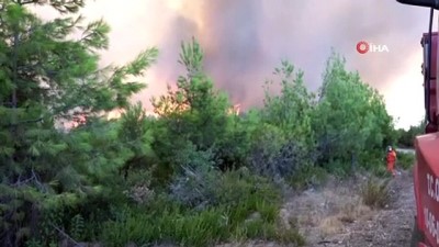 jandarma -  Yangın rüzgarın etkisiyle ormanlık arazilere doğru ilerliyor Videosu