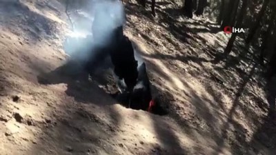  Nallıhan’daki yangından geriye kalan görüntüler yürekleri burktu