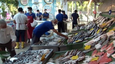 hamsi fiyatlari -  Tezgahlarda balık bolluğu Videosu