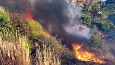 Zirai alanda yangın çıktı