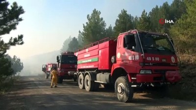  3 hektar ormanlık alan yandı