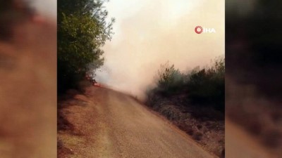  Adana'daki orman yangınını söndürme çalışmaları sürüyor