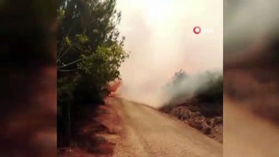  Kozan’da orman yangını çıktı