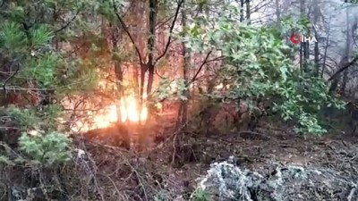  Kütahya'da orman yangını: 3 hektarlık alan yandı