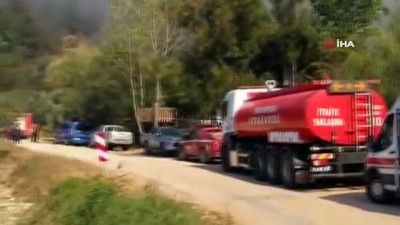  Bursa'da orman yangını