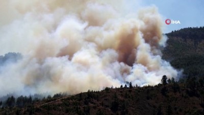 konacik -  Pozantı’da orman yangını Videosu