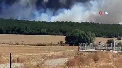  Tekirdağ’da orman yangını: Rüzgarın etkisiyle yangın Çanakkale’ye sıçradı