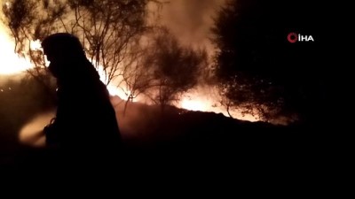 zeytinli -  Samandağ’da zeytinlik yangını Videosu