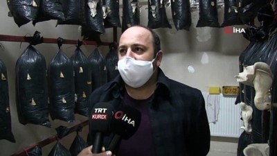 istiridye -  Şırnak'ta mantar üretim tesisi açıldı Videosu