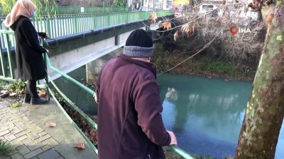  - Bartın Irmağı’nda tatlı su kefallerinin görüntüsü ilgi çekti