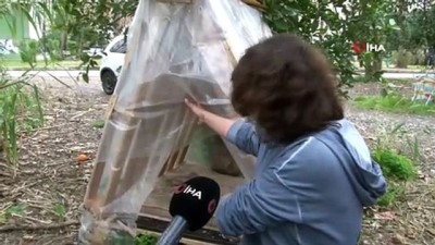 sokak kopekleri -  Beslediği köpeklerin ölüleriyle karşılaşan kadın hayatının şokunu yaşadı Videosu