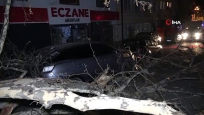siddetli lodos -  Bursa’da etkili olan lodos çınar ağacını devirdi Videosu
