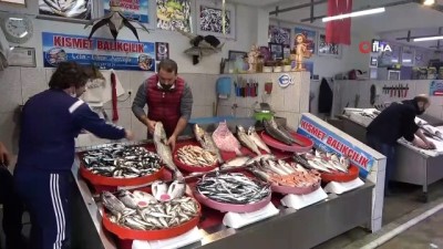 balik tezgahlari -  Hamsiye yasak geldi, tezgahlar boş kaldı Videosu