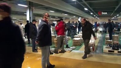 turna baligi -  İstanbul’da balık tezgahlarında denetim yapıldı Videosu