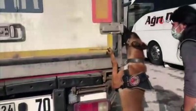  - TEM’de durdurulan tırdan 11 kilo 940 gram esrar çıktı