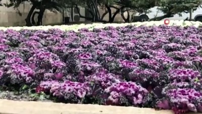  - Başkent'te beyaza büründü