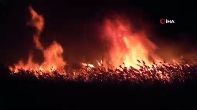  Beyşehir Gölü Milli Parkı'ndaki sazlıklar alev alev yandı