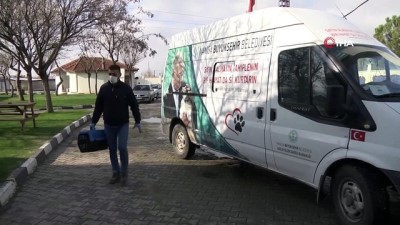 harekete gec -  Açlıktan yürüyemeyen yavru köpeğin tedavisine başlandı Videosu