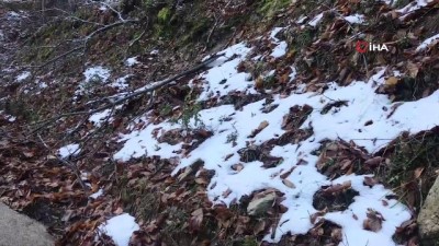 sonbahar -  Çanakkale’de yılın ilk karı Kaz Dağları’na yağdı Videosu