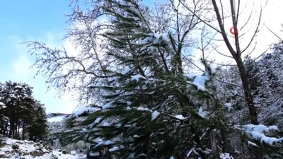 cam fistigi -  - Bergama'da uzun bir süre sonra kar sevinci
- Kozak Yaylası beyaza büründü, çocuklar karın keyfini çıkardı Videosu