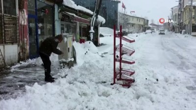  Bingöl'de 115 köy yolu kapandı, Karlıova kara gömüldü