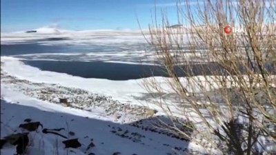 balik avi -  Çıldır Gölü'nde Ocak ayında üzen manzara Videosu