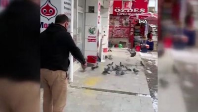  Sokağa çıkma kısıtlamasında güvercinleri beslediler