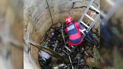  Tilkiyi kurtarmak için seferber oldular