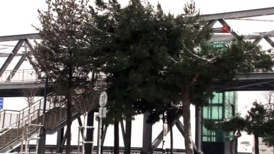  Beylikdüzü'nde kar yağışı devam ediyor