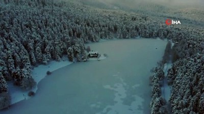 karli hava -  Gölcük Tabiat Parkı’ndaki göl buzla kaplandı Videosu