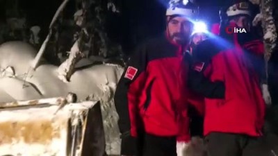 buyukbas hayvan -  Karda ahır çöktü 9 büyükbaş telef oldu Videosu