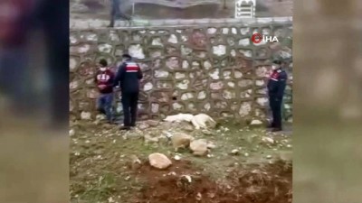 harekete gec -  Sokak köpeklerini öldüren kişi yakalandı Videosu