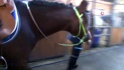 at ciftligi -  Hayalindeki çiftliği kurdu, at sevgisini kayakla birleştirdi Videosu