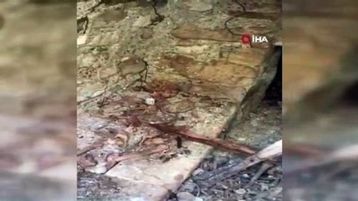 insan kemikleri -  Tarlasını sürerken Roma dönemine ait toplu mezar buldu Videosu