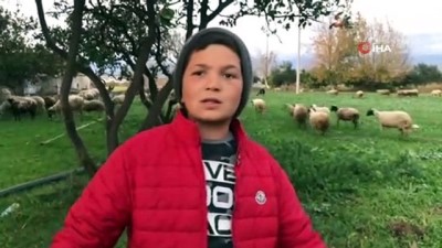  12 yaşındaki küçük çoban videolarındaki diyalogları ile sosyal medyanın yeni fenomeni oldu