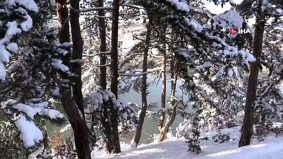 kar ortusu -  Küçükelmalı Tabiat Parkı'nda yaban hayvanları için yemleme çalışmaları yapıldı Videosu