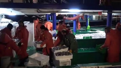  Türkiye’nin hamsileri Kırklareli’den: Kilosu 15 liraya satıldı