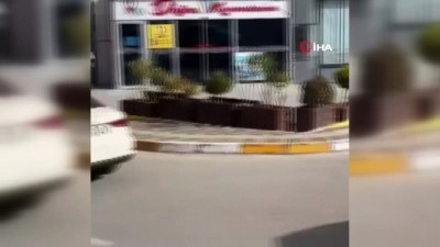 sokak kopekleri -  Sokak köpekleri çocuklara saldırdı Videosu