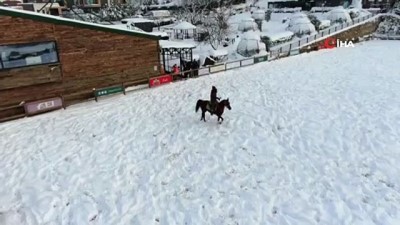 kardan adam -  Atların kar keyfi Videosu