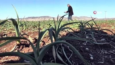  Pandeminin ilacından sevindiren haber